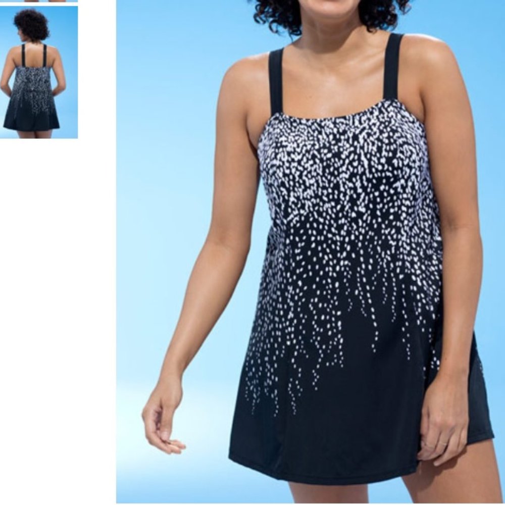 Princess Seam Swimdress Woman Within Swimsuit